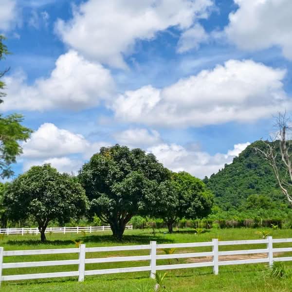 Land For Sale 3 Rai Najomtan Pattaya, Chon Buri (Pattaya), ซอยวัดกนองจับเต่า, Na Chom Thian, Sattahip, Chon Buri (Pattaya), , 4,800 sqm, Land For Sale, by Nichapa Phiachan, 500188255 - DDproperty.com