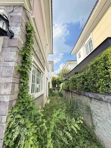 Golden Neo Ladprao-Kaset Nawamin, Bangkok, Soi Nawamin 42, Yak 7, Khlong Kum, Bueng Kum, Bangkok, 4 Bedrooms, 240 sqm, Semi-Detached House (Twin House) For Sale, by Nisakorn Chirangkapat, 500188260 - DDproperty.com