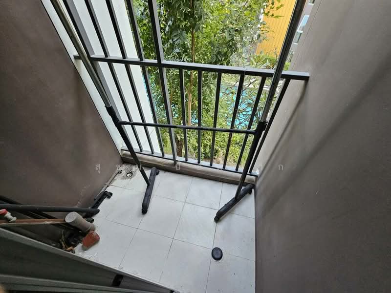 ให้เช่า - Dcondo Campus Resort Bangsaen : ดีคอนโด แคมปัส รีสอร์ท บางแสน, ชลบุรี