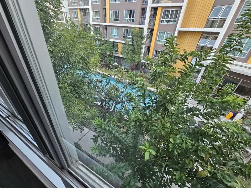 Dcondo Campus Resort Bangsaen, Chon Buri (Pattaya), 19-15 Bangsaen Sai 4 S Rd, Saen Suk, Muang Chon Buri, Chon Buri (Pattaya), 1 Bedroom, 30 sqm, Condo For Rent, by สุขุม ป้อมนาก, 500188329 - DDproperty.com