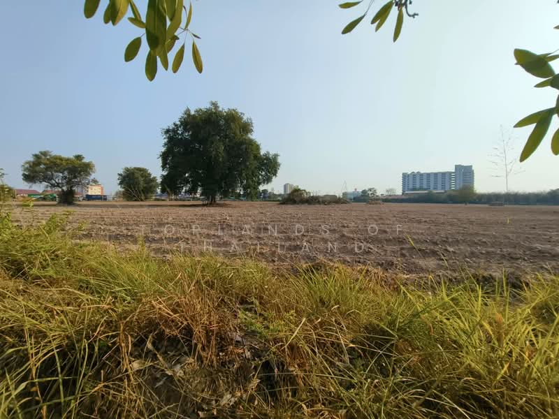 ขายที่ดิน ทำเลทองแหลมฉบัง ศรีราชา เนื้อที่ 62-0-0 ไร่ ติดถนนใหญ่ 3 ด้าน เหมาะทำการค้า ห้างสรรพสินค้า, Chon Buri (Pattaya), Thung Suk La, Si Racha, Chon Buri (Pattaya), , 99,200 sqm, Land For Sale, by TopLands of Thailand, 500188397 - DDproperty.com