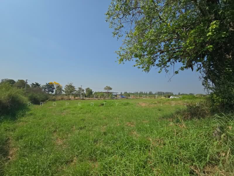 ที่ดินกำแพงแสน นครปฐม, Nakhon Pathom, Thung Bua, Kamphaeng Saen, Nakhon Pathom, , 3,200 sqm, Land For Sale, by The Best Property   เอิร์น, 500188398 - DDproperty.com