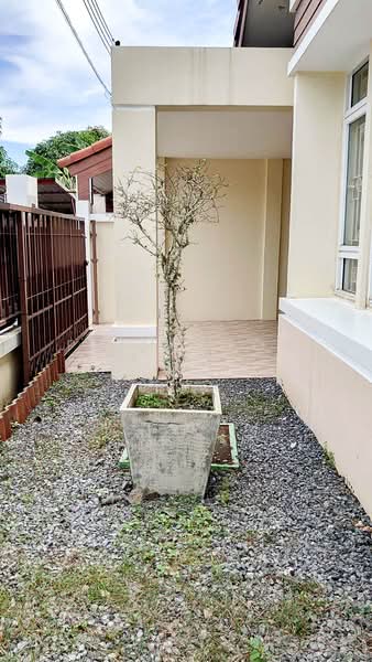 ให้เช่า - กะทู้, ภูเก็ต