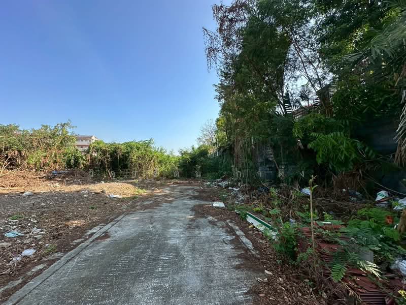 ที่ดินเปล่า 353 ตร.ว. แปลงสวย ถนนแบริ่ง - ลาชาล ( ซอย แบริ่งตัดใหม่ 7 ) ใกล้BTSแบริ่ง, Samut Prakan, Samrong Nua, Muang Samut Prakarn, Samut Prakan, , 1,012 sqm, Land For Sale, by วิดารัตน์ กาติ้ง, 500188438 - DDproperty.com
