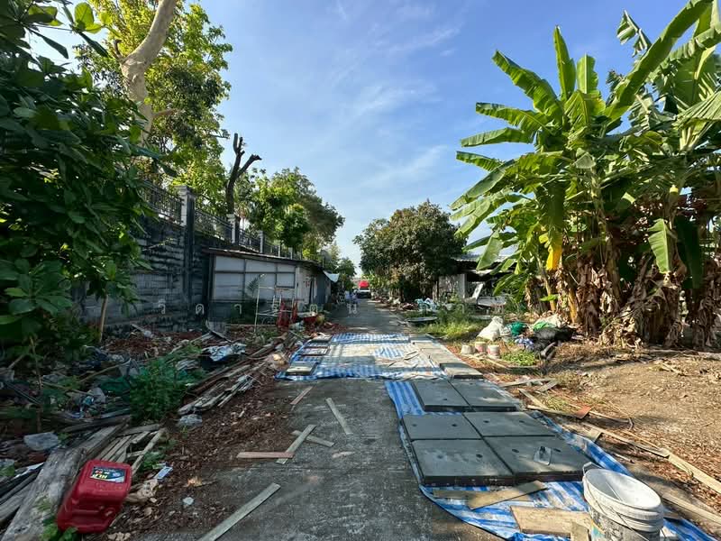 ที่ดินเปล่า 353 ตร.ว. แปลงสวย ถนนแบริ่ง - ลาชาล ( ซอย แบริ่งตัดใหม่ 7 ) ใกล้BTSแบริ่ง, สมุทรปราการ, สำโรงเหนือ, เมืองสมุทรปราการ, สมุทรปราการ, 1,012 ตร.ม., ที่ดิน ขาย, โดย วิดารัตน์ กาติ้ง, 500188438 - DDproperty.com