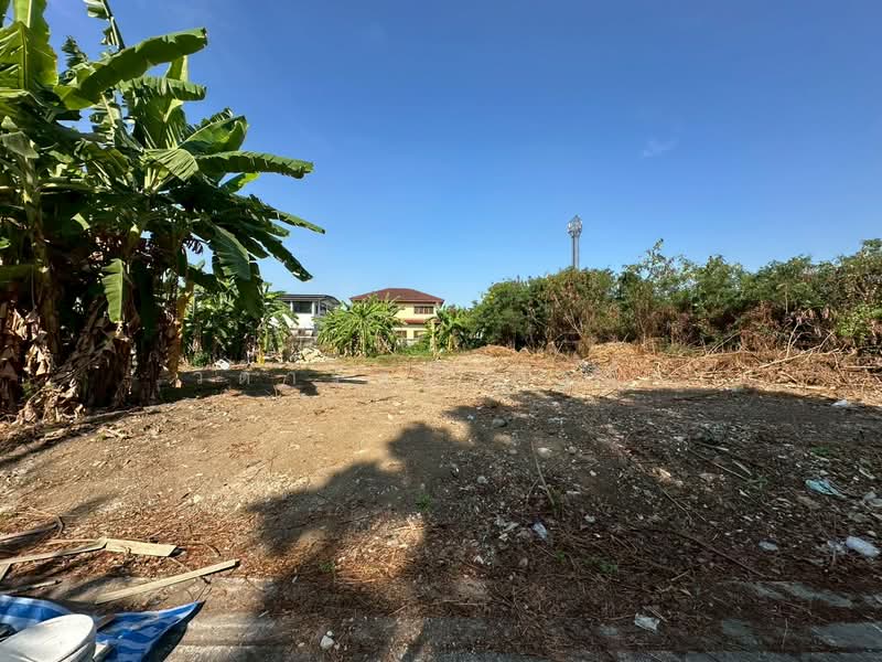 ที่ดินเปล่า 353 ตร.ว. แปลงสวย ถนนแบริ่ง - ลาชาล ( ซอย แบริ่งตัดใหม่ 7 ) ใกล้BTSแบริ่ง, สมุทรปราการ, สำโรงเหนือ, เมืองสมุทรปราการ, สมุทรปราการ, 1,012 ตร.ม., ที่ดิน ขาย, โดย วิดารัตน์ กาติ้ง, 500188438 - DDproperty.com