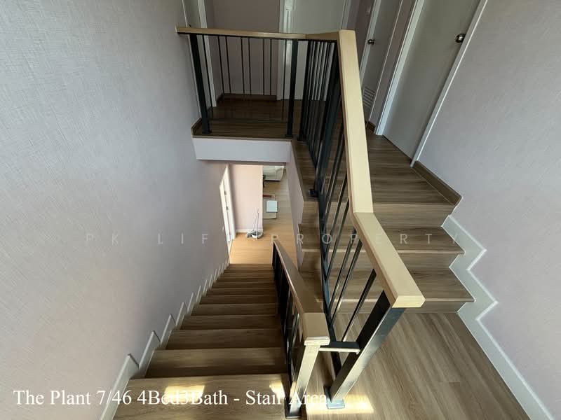 12R0566 This house for rent 4 bedroom 3 bathroom 65,000/month at thalang have fully furnished, ภูเก็ต, เทพกระษัตรี, ถลาง, ภูเก็ต, 202 ตร.ม., บ้านเดี่ยว ให้เช่า, โดย PK LIFE Property, 500188441 - DDproperty.com