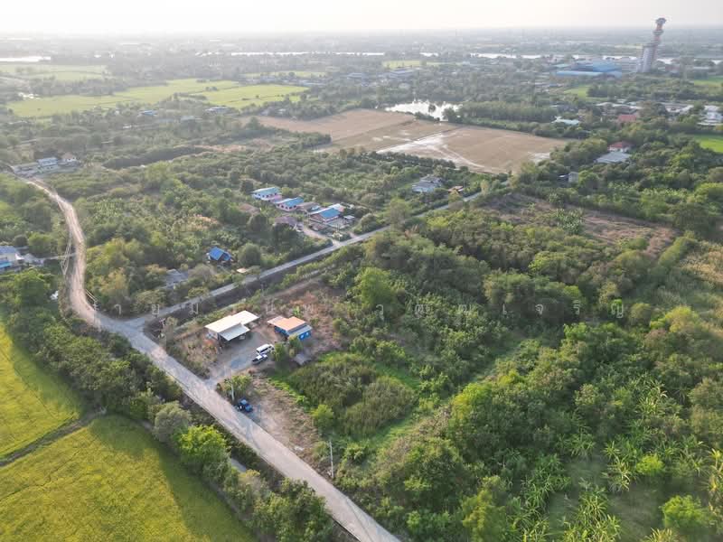 ต่ำกว่าตลาด ใกล้ Stonehill Golf Club ขายที่ดินทำเลดีในพื้นที่ ต.บ้านงิ้ว อ.สามโคก จ.ปทุมธานี, ปทุมธานี, บ้านงิ้ว, สามโคก, ปทุมธานี, 8,000 ตร.ม., ที่ดิน ขาย, โดย นายมานพ วุฒฒเจริญ, 500188444 - DDproperty.com