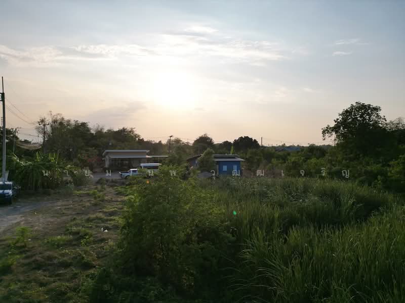 ต่ำกว่าตลาด ใกล้ Stonehill Golf Club ขายที่ดินทำเลดีในพื้นที่ ต.บ้านงิ้ว อ.สามโคก จ.ปทุมธานี, Pathum Thani, Ban Ngiu, Sam Khok, Pathum Thani, , 8,000 sqm, Land For Sale, by นายมานพ วุฒฒเจริญ, 500188444 - DDproperty.com