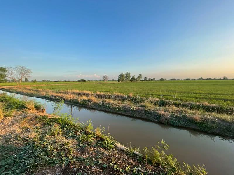 ที่นา 7 ไร่ แปลงสวย ติดคลองชลประทาน ตำบลบ้านกลับ อำเภอหนองโดน จังหวัดสระบุรี, Saraburi, Ban Klap, Nong Don, Saraburi, , 11,200 sqm, Land For Sale, by สรภพ ยอดไชย (สีฝุ่น), 500188508 - DDproperty.com