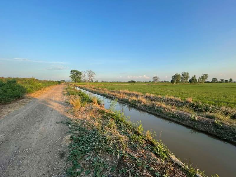 ที่นา 7 ไร่ แปลงสวย ติดคลองชลประทาน ตำบลบ้านกลับ อำเภอหนองโดน จังหวัดสระบุรี, สระบุรี, บ้านกลับ, หนองโดน, สระบุรี, 11,200 ตร.ม., ที่ดิน ขาย, โดย สรภพ ยอดไชย (สีฝุ่น), 500188508 - DDproperty.com