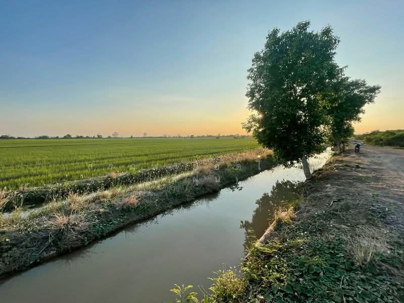 ที่นา 7 ไร่ แปลงสวย ติดคลองชลประทาน ตำบลบ้านกลับ อำเภอหนองโดน จังหวัดสระบุรี, Saraburi, Ban Klap, Nong Don, Saraburi, , 11,200 sqm, Land For Sale, by สรภพ ยอดไชย (สีฝุ่น), 500188508 - DDproperty.com