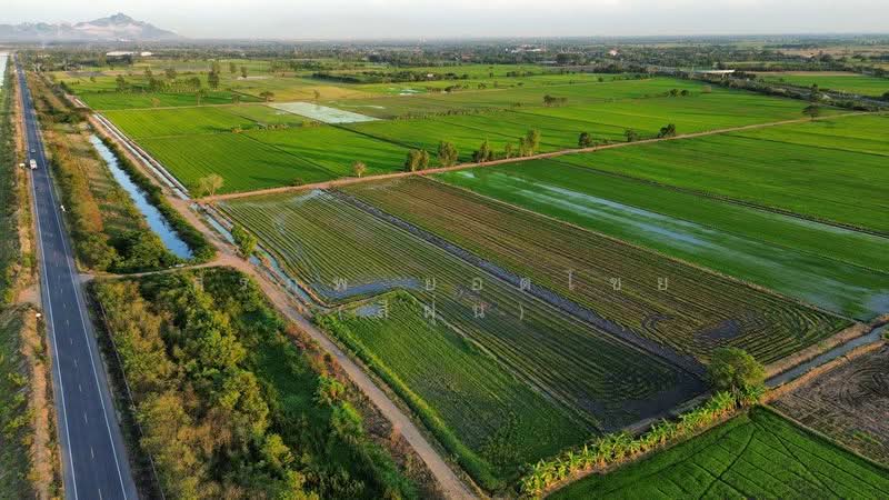 ที่นา 7 ไร่ แปลงสวย ติดคลองชลประทาน ตำบลบ้านกลับ อำเภอหนองโดน จังหวัดสระบุรี, สระบุรี, บ้านกลับ, หนองโดน, สระบุรี, 11,200 ตร.ม., ที่ดิน ขาย, โดย สรภพ ยอดไชย (สีฝุ่น), 500188508 - DDproperty.com