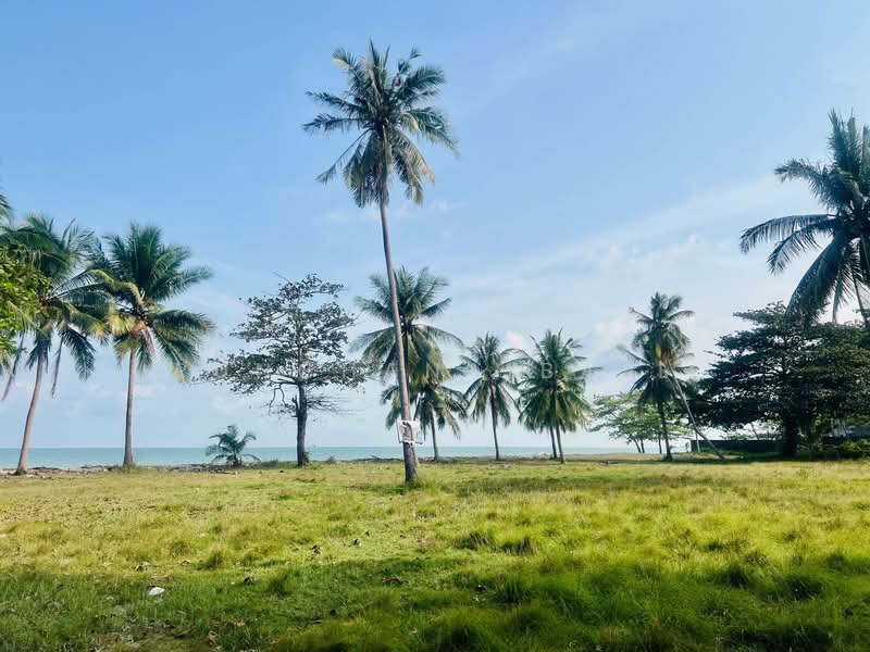 L116-NST 16 Rai Oceanfront Development Land – 100m Beachfront | Sichon near Koh Samui, นครศรีธรรมราช, สิชล, สิชล, นครศรีธรรมราช, 25,936 ตร.ม., ที่ดิน ขาย, โดย Runchana Ball, 500188531 - DDproperty.com