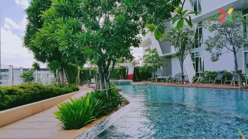 IDEO Verve Sukhumvit, Bangkok, 2077 Sukhumvit Road, Phra Kanong Nua, Watthana, Bangkok, 1 Bedroom, 31 sqm, Condo For Rent, by Connex Property, 500188594 - DDproperty.com