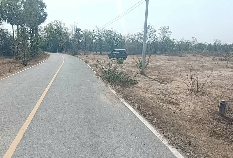 For Sale - ที่ดินดอนเจดีย์ สุพรรณบุรี, Suphan Buri