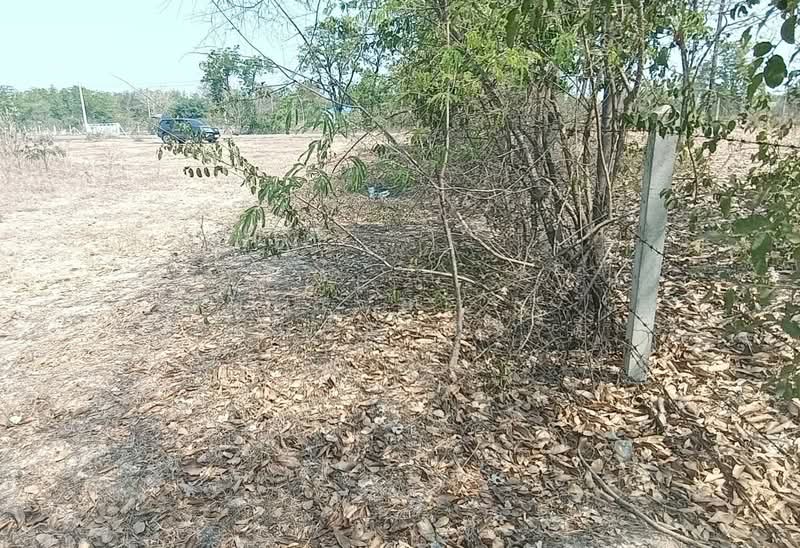 For Sale - ที่ดินดอนเจดีย์ สุพรรณบุรี, Suphan Buri