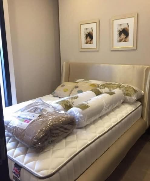 ASHTON Asoke, Bangkok, 131 Asoke Montri Road, Khlongtoei Nua, Watthana, Bangkok, 1 Bedroom, 31 sqm, Condo For Rent, by Connex Property, 500188812 - DDproperty.com