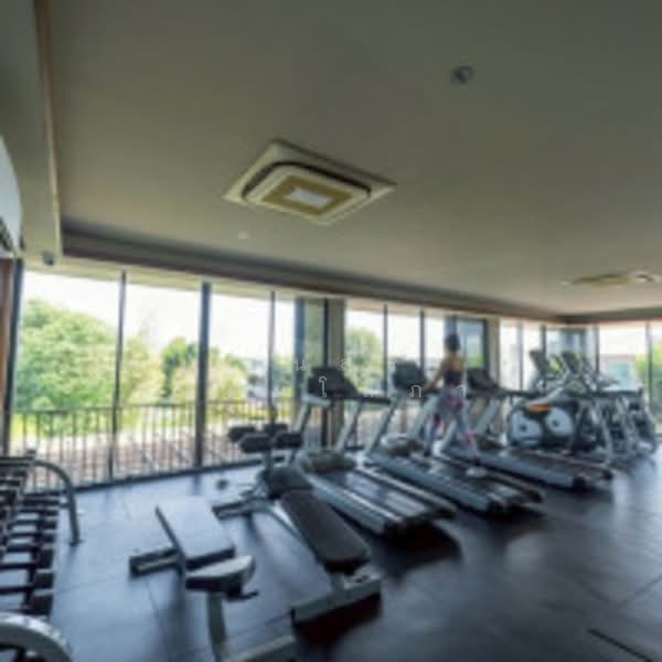 บารานี เรสซิเดนซ์ รังสิต คลอง 3 : Baranee Residence Rangsit-Khlong 3, ปทุมธานี, คลองสาม, คลองหลวง, ปทุมธานี, 220 ตร.ม., บ้านเดี่ยว ขาย, โดย ธนสร พรมโสภา, 500188830 - DDproperty.com