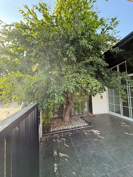 Anasiri Maliwan, Khon Kaen, Maliwan Road, Nai Muang, Muang Khon Kaen, Khon Kaen, 4 Bedrooms, 190 sqm, Single Detached House For Rent, by สุริยา เบียดนอก, 500188862 - DDproperty.com