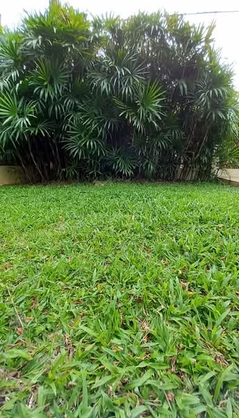 บ้านพิมุกต์, Chiang Mai, San Sai Noi, San Sai, Chiang Mai, 4 Bedrooms, 400 sqm, Single Detached House For Sale, by Shori Asset Group Co., Ltd., 500188884 - DDproperty.com