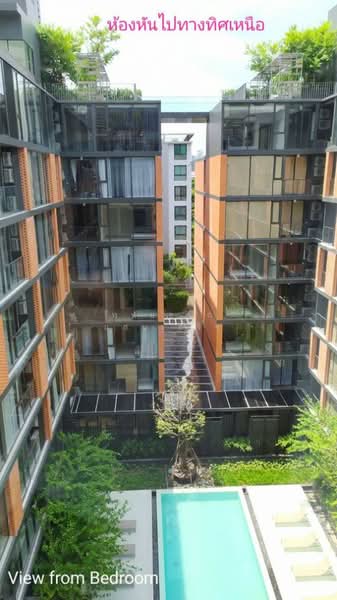 Quintara Treehaus Sukhumvit 42, Bangkok, Soi Bar Bose 2, Sukhumvit 42, Phra Kanong, Khlong Toei, Bangkok, 2 Bedrooms, 46 sqm, Condo For Rent, by หทัยชนก แสนเสร็จ, 500188955 - DDproperty.com