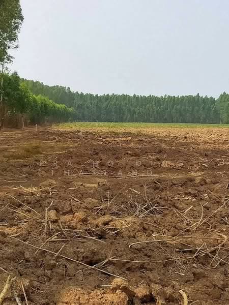 อุตสาหกรรม ผังเมืองสีม่วง, ปราจีนบุรี, หัวหว้า, ศรีมหาโพธิ, ปราจีนบุรี, 26,748 ตร.ม., ที่ดิน ขาย, โดย ERA Holding (Thailand) Co., Ltd., 500188972 - DDproperty.com