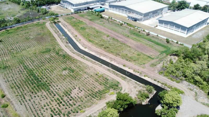 แปลงใหญ่, Phra Nakhon Si Ayutthaya, Ban Len, Bang Pa-In, Phra Nakhon Si Ayutthaya, , 82,160 sqm, Land For Sale, by ERA Holding (Thailand) Co., Ltd., 500188977 - DDproperty.com