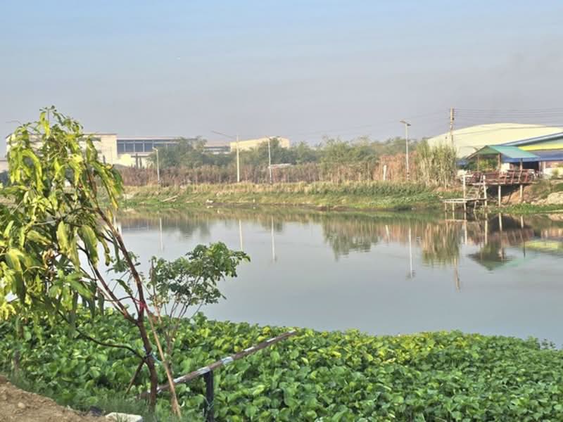 ไม่พบโครงการ, Nakhon Pathom, พัฒนาชนบท, Bang Pla, Bang Len, Nakhon Pathom, 5 Bedrooms, 300 sqm, Single Detached House For Rent, by กุลจิรา อภัยโส, 500189016 - DDproperty.com