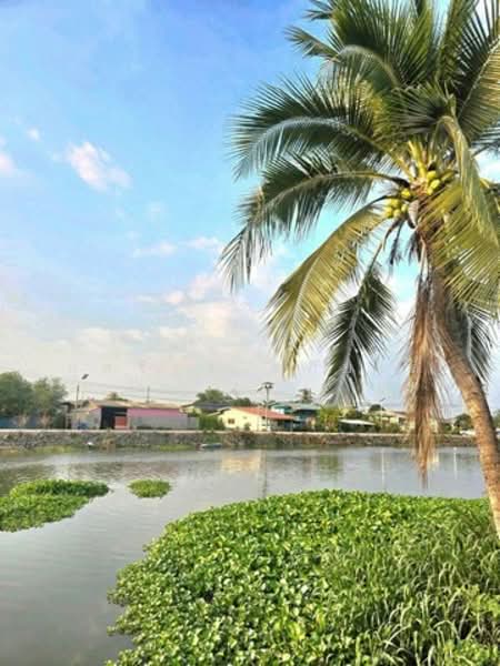 ไม่พบโครงการ, Nakhon Pathom, พัฒนาชนบท, Bang Pla, Bang Len, Nakhon Pathom, 5 Bedrooms, 300 sqm, Single Detached House For Rent, by กุลจิรา อภัยโส, 500189016 - DDproperty.com