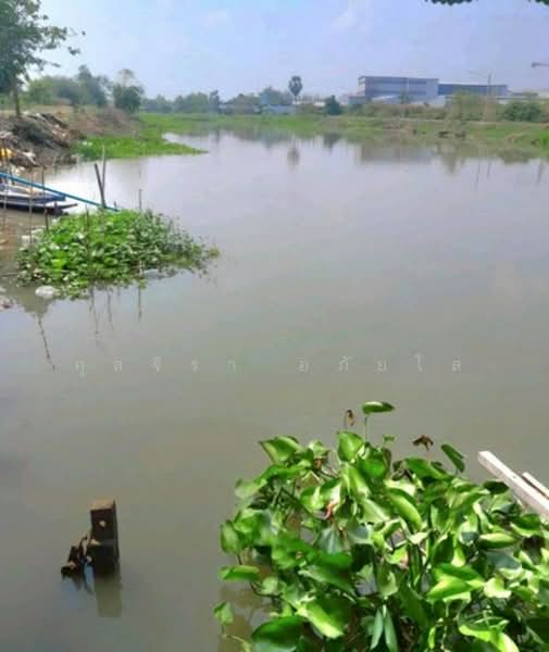 ไม่พบโครงการ, Nakhon Pathom, พัฒนาชนบท, Bang Pla, Bang Len, Nakhon Pathom, 5 Bedrooms, 300 sqm, Single Detached House For Rent, by กุลจิรา อภัยโส, 500189016 - DDproperty.com