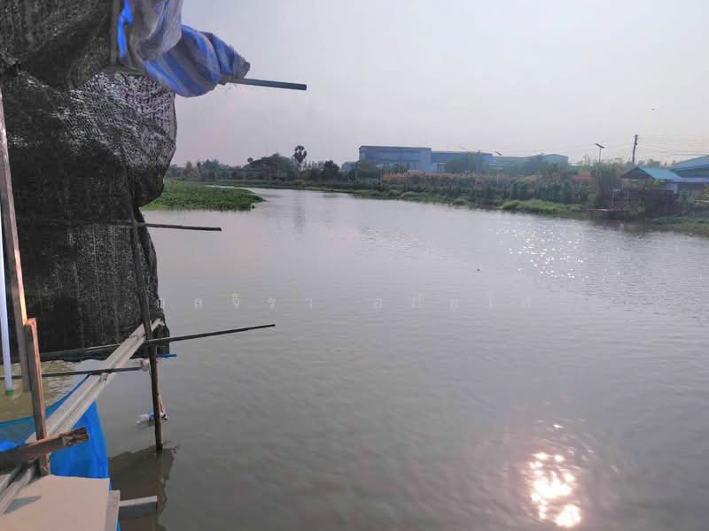 ไม่พบโครงการ, Nakhon Pathom, พัฒนาชนบท, Bang Pla, Bang Len, Nakhon Pathom, 5 Bedrooms, 300 sqm, Single Detached House For Rent, by กุลจิรา อภัยโส, 500189016 - DDproperty.com