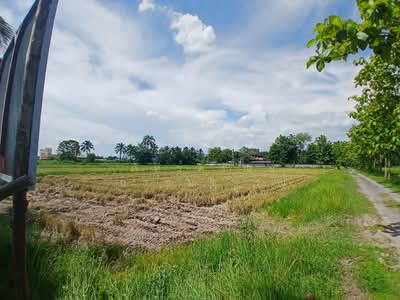 ขาย - สันทราย เชียงใหม่, เชียงใหม่