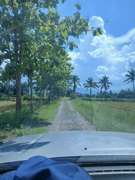 สันทราย เชียงใหม่, เชียงใหม่, หนองหาร, สันทราย, เชียงใหม่, 3,200 ตร.ม., ที่ดิน ขาย, โดย ภัทร์ศรัณย์ กายบริบูรณ์, 500189031 - DDproperty.com