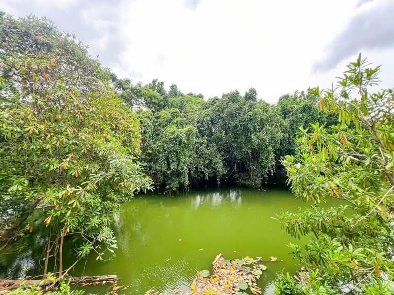 For Rent - Land and Houses Park, Phuket