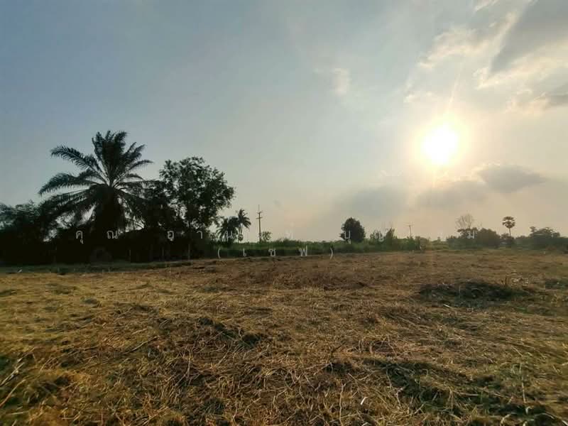 ที่ดินเปล่า 6 ไร่ 295 ตร.ว. ที่ดินเปล่า ใกล้แฟคทอรี่ยาร์ด @ ลำลูกกา ติดถนนเลียบด่วนลำลูกกา, ปทุมธานี, บึงคำพร้อย, ลำลูกกา, ปทุมธานี, 10,780 ตร.ม., ที่ดิน ขาย, โดย คุณ อานนท์ บุญกรม (เซฟ), 500189058 - DDproperty.com