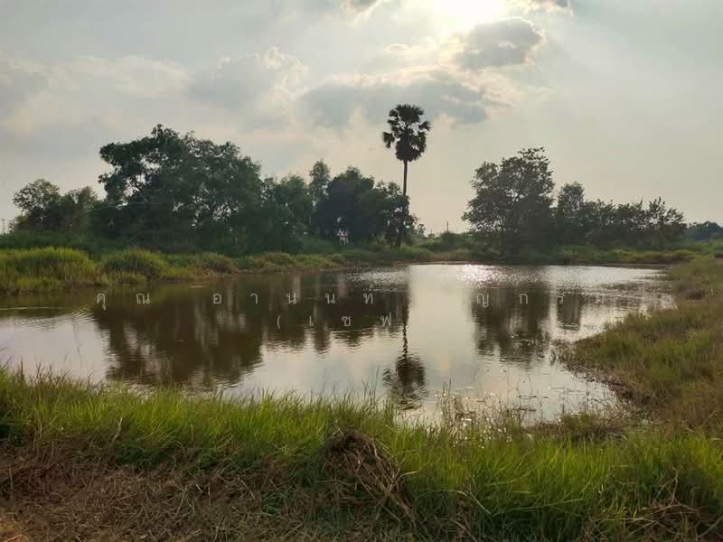 ที่ดินเปล่า 6 ไร่ 295 ตร.ว. ที่ดินเปล่า ใกล้แฟคทอรี่ยาร์ด @ ลำลูกกา ติดถนนเลียบด่วนลำลูกกา, Pathum Thani, Bung Kham Proi, Lam Luk Ka, Pathum Thani, , 10,780 sqm, Land For Sale, by คุณ อานนท์ บุญกรม (เซฟ), 500189058 - DDproperty.com