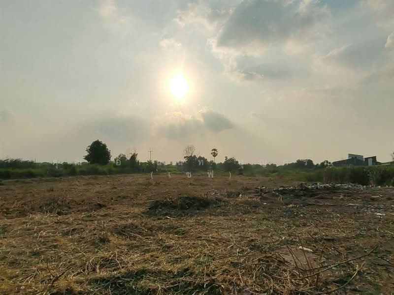 ที่ดินเปล่า 6 ไร่ 295 ตร.ว. ที่ดินเปล่า ใกล้แฟคทอรี่ยาร์ด @ ลำลูกกา ติดถนนเลียบด่วนลำลูกกา, ปทุมธานี, บึงคำพร้อย, ลำลูกกา, ปทุมธานี, 10,780 ตร.ม., ที่ดิน ขาย, โดย คุณ อานนท์ บุญกรม (เซฟ), 500189058 - DDproperty.com