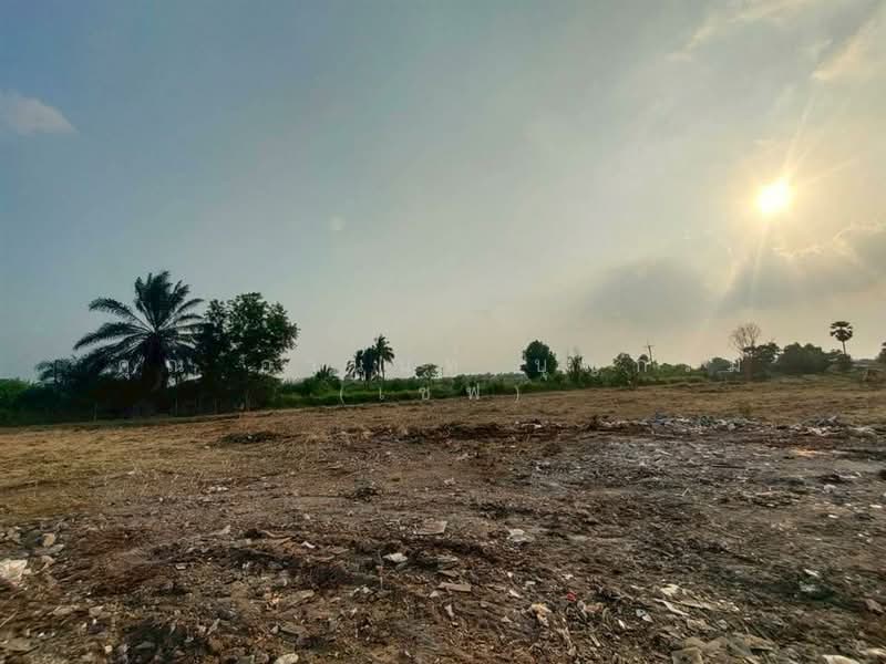 ที่ดินเปล่า 6 ไร่ 295 ตร.ว. ที่ดินเปล่า ใกล้แฟคทอรี่ยาร์ด @ ลำลูกกา ติดถนนเลียบด่วนลำลูกกา, Pathum Thani, Bung Kham Proi, Lam Luk Ka, Pathum Thani, , 10,780 sqm, Land For Sale, by คุณ อานนท์ บุญกรม (เซฟ), 500189058 - DDproperty.com