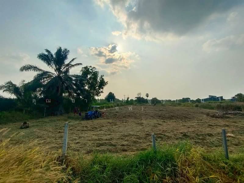 ที่ดินเปล่า 6 ไร่ 295 ตร.ว. ที่ดินเปล่า ใกล้แฟคทอรี่ยาร์ด @ ลำลูกกา ติดถนนเลียบด่วนลำลูกกา, Pathum Thani, Bung Kham Proi, Lam Luk Ka, Pathum Thani, , 10,780 sqm, Land For Sale, by คุณ อานนท์ บุญกรม (เซฟ), 500189058 - DDproperty.com