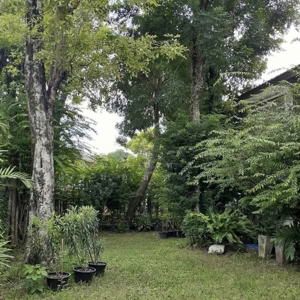 Sammakorn Ramkamhang 112, Bangkok, Saphan Sung, Saphan Sung, Bangkok, 4 Bedrooms, 250 sqm, Villa For Rent, by พิมพ์ภัทรา แจ่มอุลิตรัตน, 500189103 - DDproperty.com