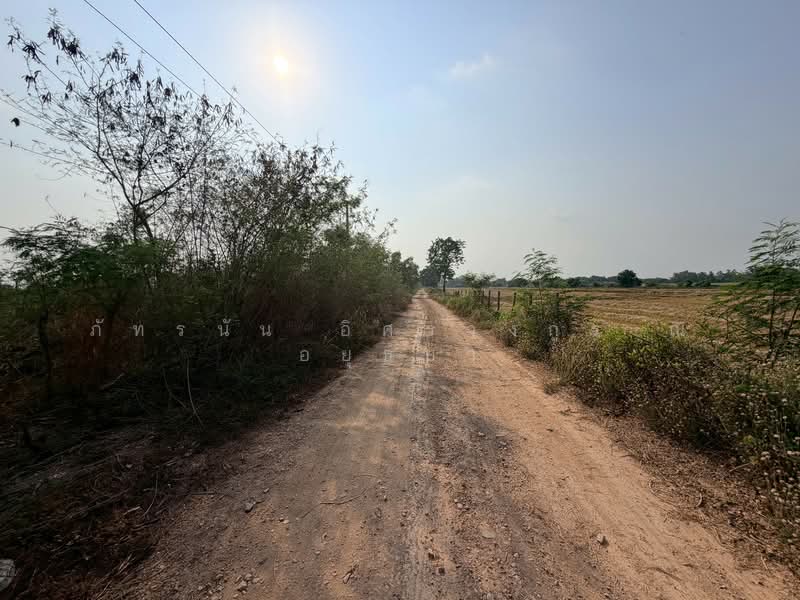 ขาย - ที่ดินเปล่า ถนนรังสิต-นครนายก ตำบลพระอาจารย์ อำเภอองครักษ์ จังหวัดนครนายก, นครนายก