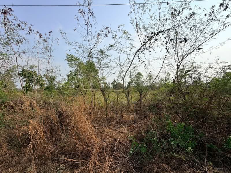 ขาย - ที่ดินเปล่า ถนนรังสิต-นครนายก ตำบลพระอาจารย์ อำเภอองครักษ์ จังหวัดนครนายก, นครนายก