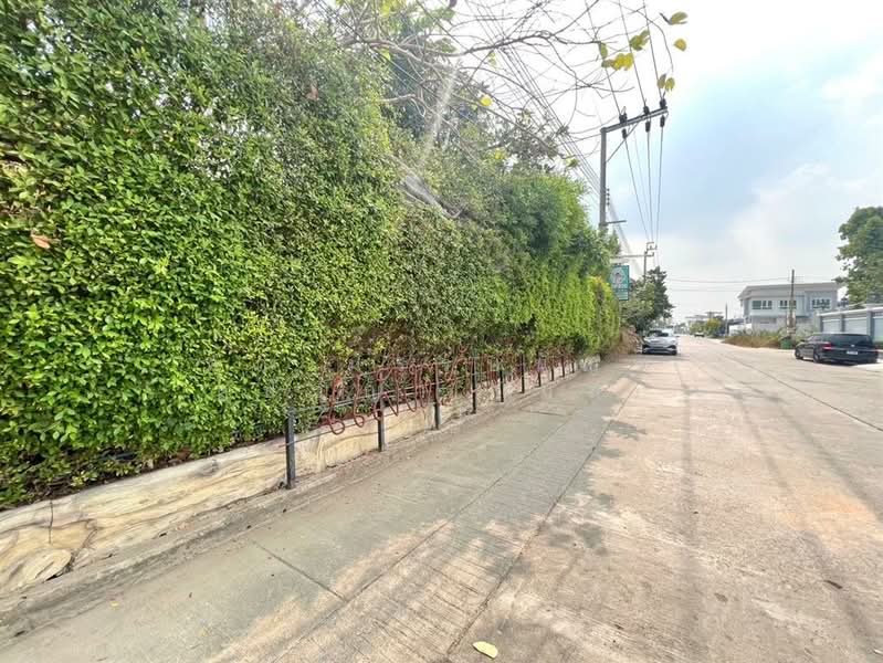 ที่ดินเปล่า 426 ตร.ว. ที่ดิน ซอยสินพัฒนาธานี10 ถนนพุทธมณฑลสาย4, Bangkok, Thawi Watthana, Thawi Watthana, Bangkok, , 1,704 sqm, Land For Sale, by คุณ มรรษนัญฑ์ สุปัญญา (มัส), 500189189 - DDproperty.com