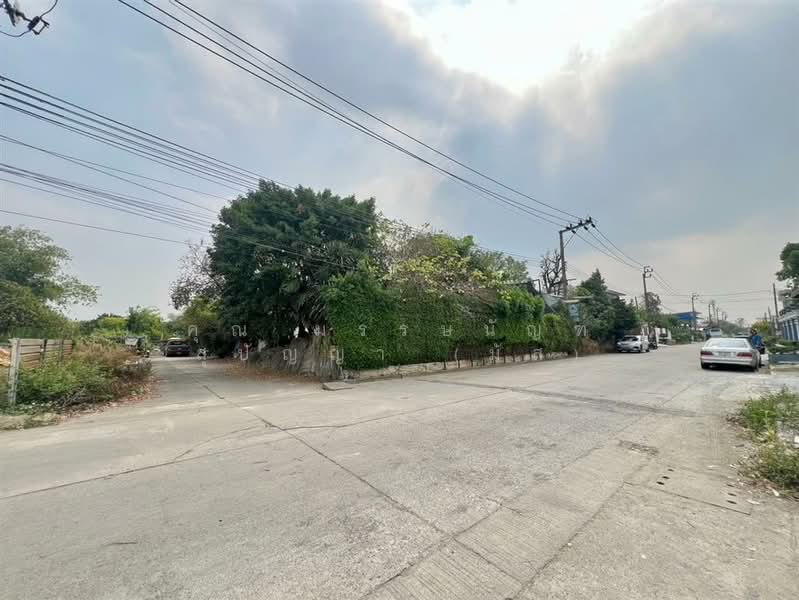 ที่ดินเปล่า 426 ตร.ว. ที่ดิน ซอยสินพัฒนาธานี10 ถนนพุทธมณฑลสาย4, Bangkok, Thawi Watthana, Thawi Watthana, Bangkok, , 1,704 sqm, Land For Sale, by คุณ มรรษนัญฑ์ สุปัญญา (มัส), 500189189 - DDproperty.com