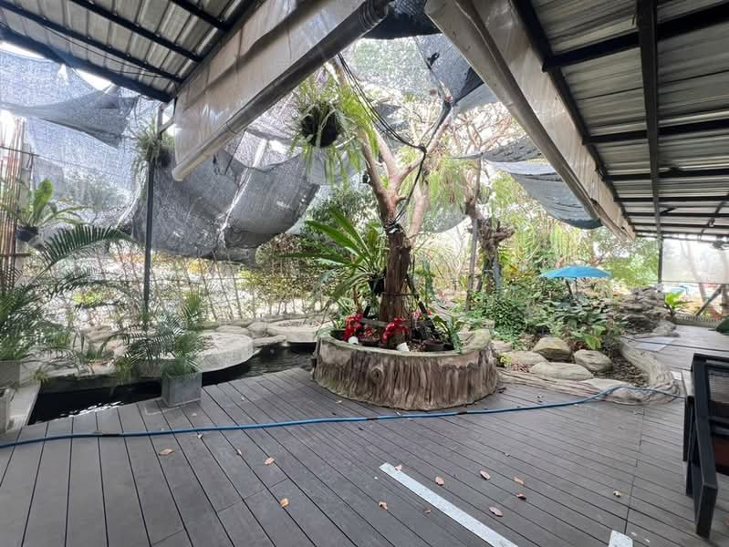 ที่ดินเปล่า 426 ตร.ว. ที่ดิน ซอยสินพัฒนาธานี10 ถนนพุทธมณฑลสาย4, กรุงเทพ, ทวีวัฒนา, ทวีวัฒนา, กรุงเทพ, 1,704 ตร.ม., ที่ดิน ขาย, โดย คุณ มรรษนัญฑ์ สุปัญญา (มัส), 500189189 - DDproperty.com