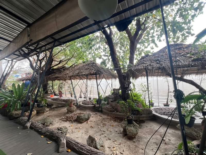 ที่ดินเปล่า 426 ตร.ว. ที่ดิน ซอยสินพัฒนาธานี10 ถนนพุทธมณฑลสาย4, Bangkok, Thawi Watthana, Thawi Watthana, Bangkok, , 1,704 sqm, Land For Sale, by คุณ มรรษนัญฑ์ สุปัญญา (มัส), 500189189 - DDproperty.com