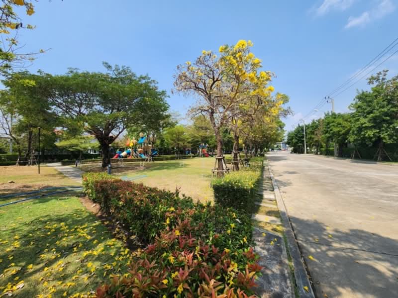 Pave - Pracha Uthit 90, Samut Prakan, Soi Pracha Uthit 90, Nai Khlong Bang Pla Kot, Phra Samut Jadee, Samut Prakan, 3 Bedrooms, 168 sqm, Single Detached House For Sale, by พจนีย์ ศรีปรางค์ (อ้อ), 500189192 - DDproperty.com