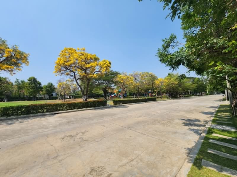 Pave - Pracha Uthit 90, Samut Prakan, Soi Pracha Uthit 90, Nai Khlong Bang Pla Kot, Phra Samut Jadee, Samut Prakan, 3 Bedrooms, 168 sqm, Single Detached House For Sale, by พจนีย์ ศรีปรางค์ (อ้อ), 500189192 - DDproperty.com