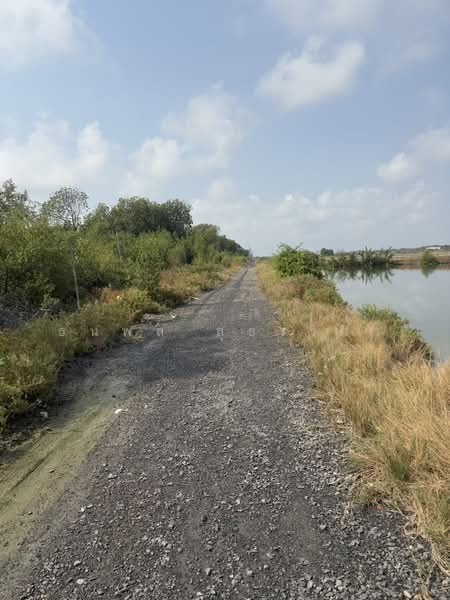 บางขุนเทียน, กรุงเทพ, ท่าข้าม, บางขุนเทียน, กรุงเทพ, 15,620 ตร.ม., ที่ดิน ขาย, โดย ธนพล สุธรรมา, 500189226 - DDproperty.com